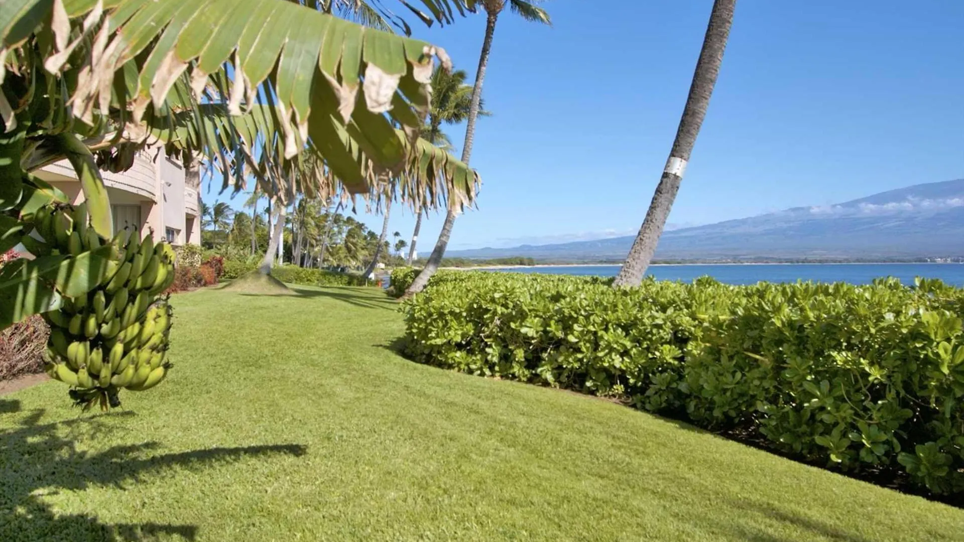 Island Sands 206 Wailuku Tatil Evi