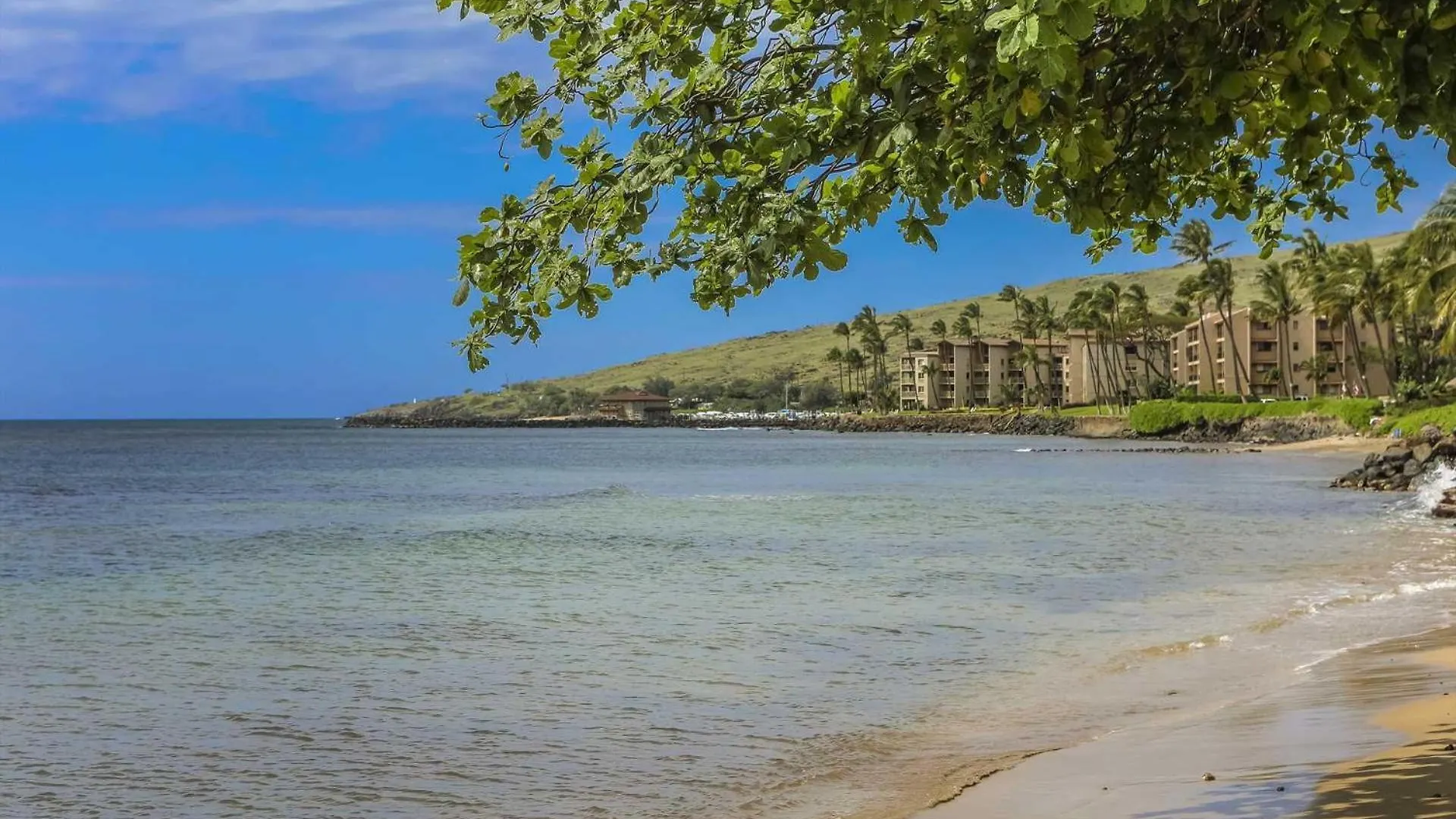 Island Sands 206 Wailuku 0*,  ABD