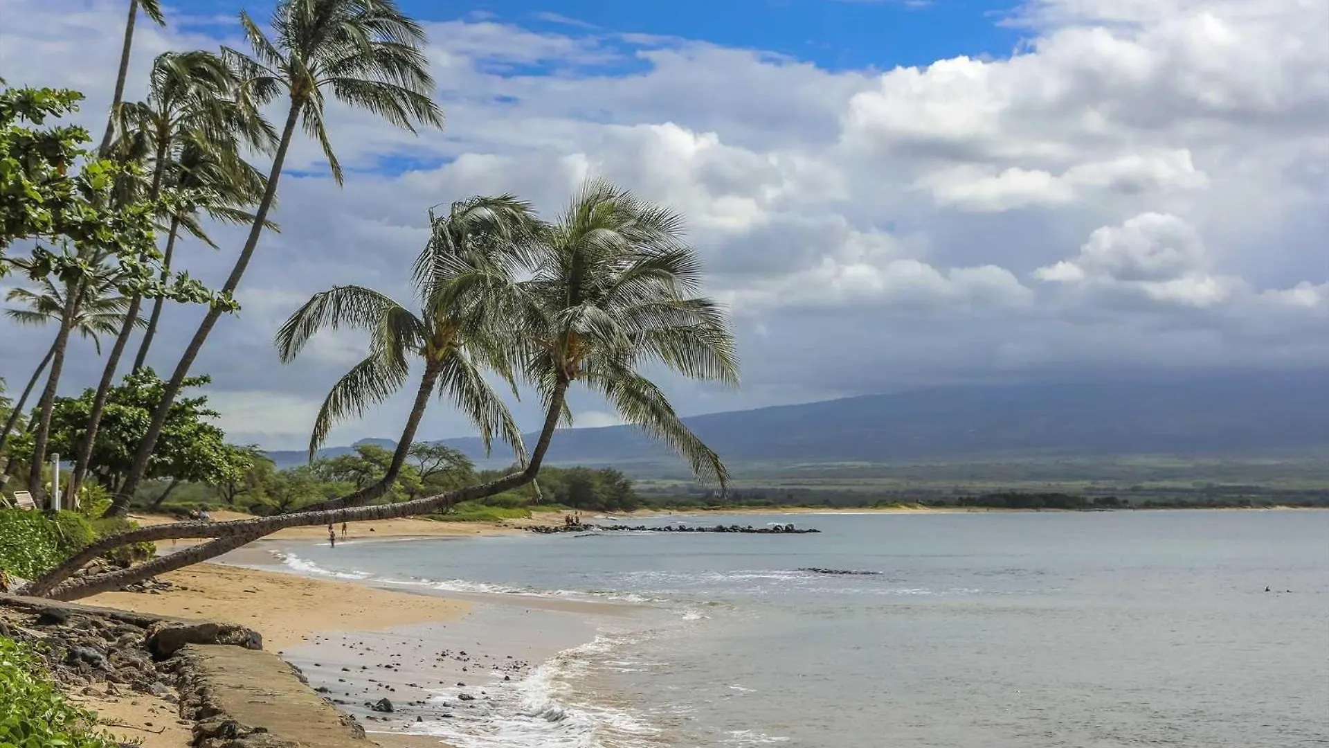 Island Sands 206 Wailuku Tatil Evi
