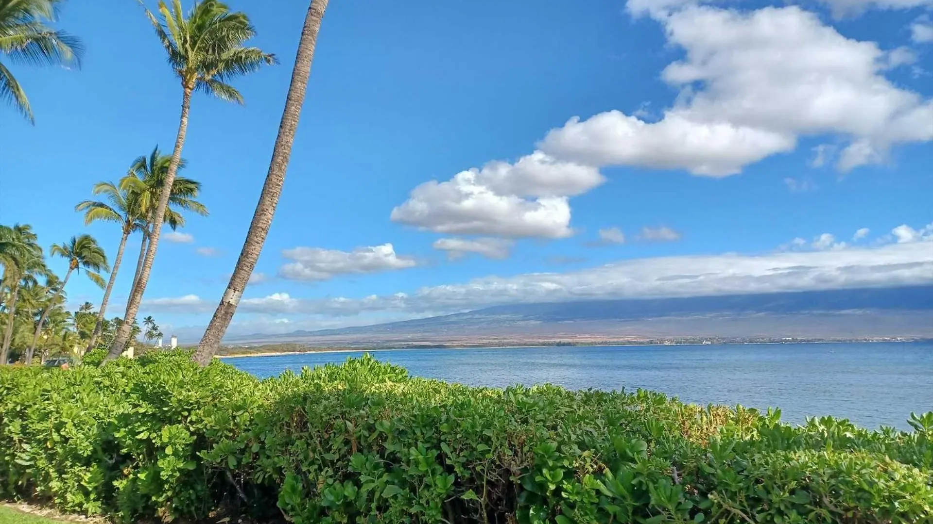 Island Sands 206 Wailuku